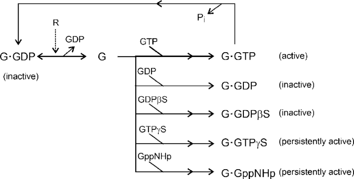 SCHEME I