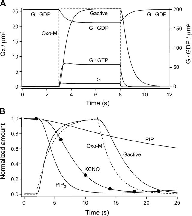 Figure 11. 