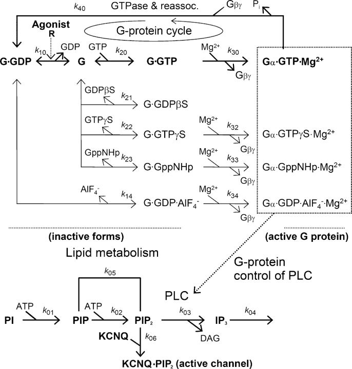 Figure 10. 