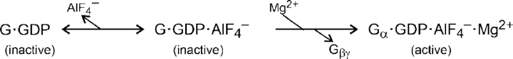 SCHEME III