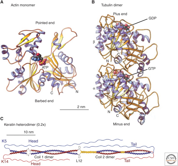 Figure 2.