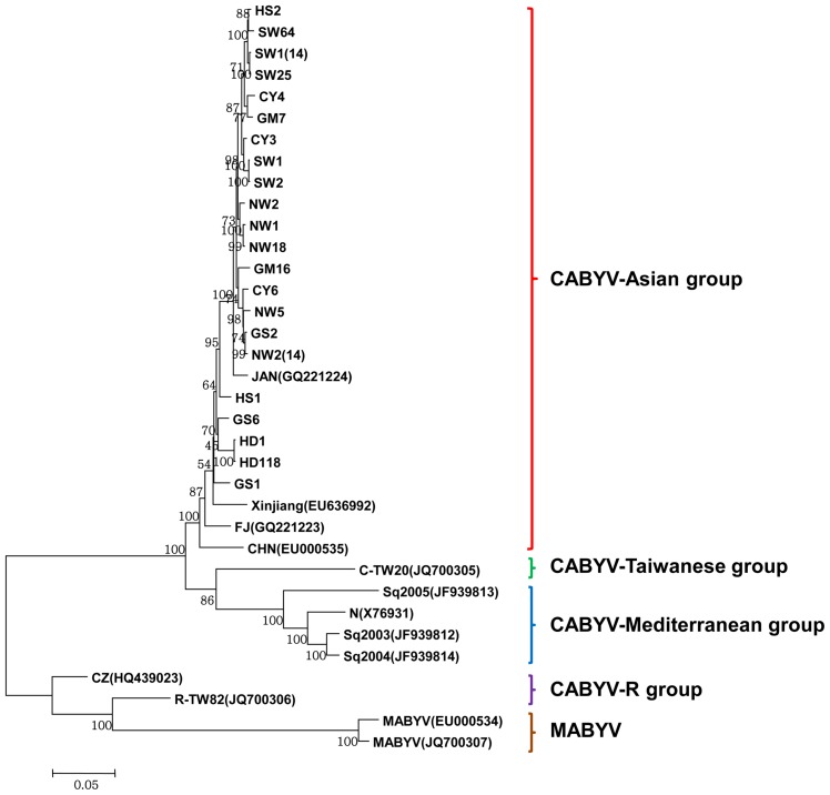 Fig. 4