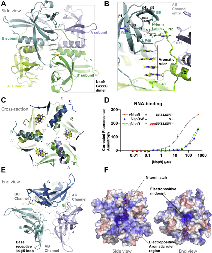 Figure 2