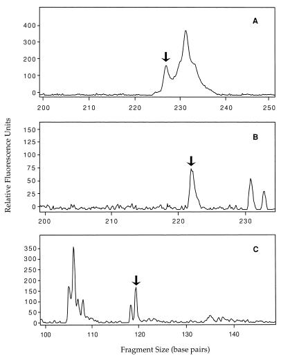 FIG. 5