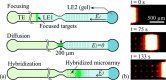 Figure 38