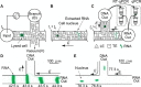 Figure 34