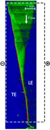 Figure 45