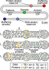 Figure 32