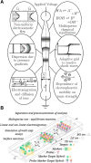 Figure 22