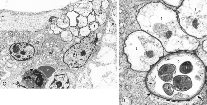 Figure 17-5