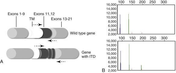 Figure 17-17