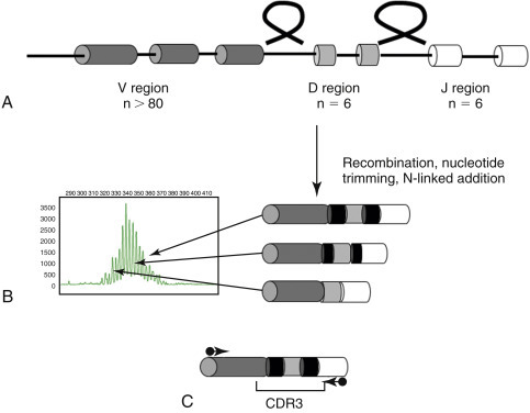 Figure 17-15