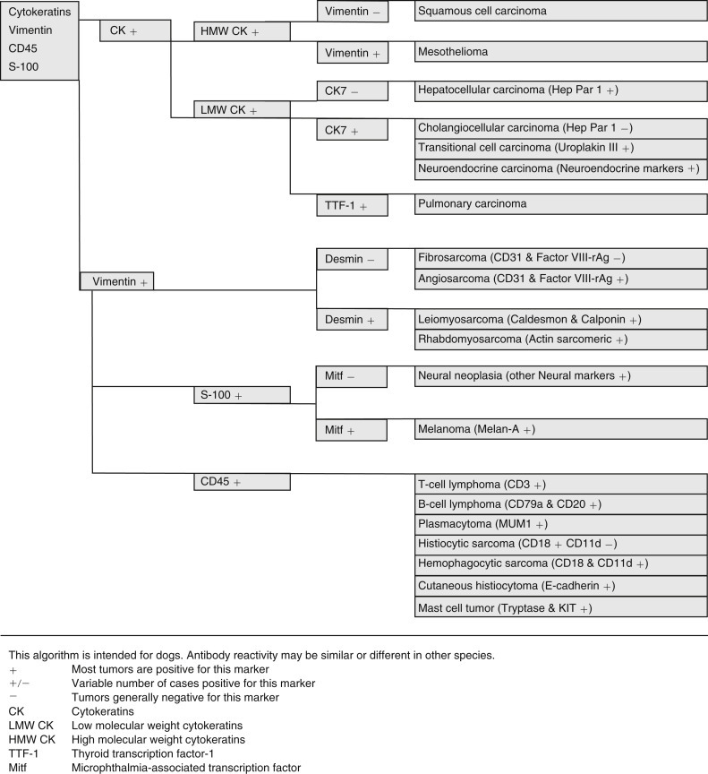 Figure 17-3
