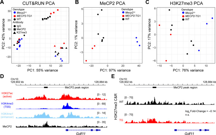 Figure 1—figure supplement 2.