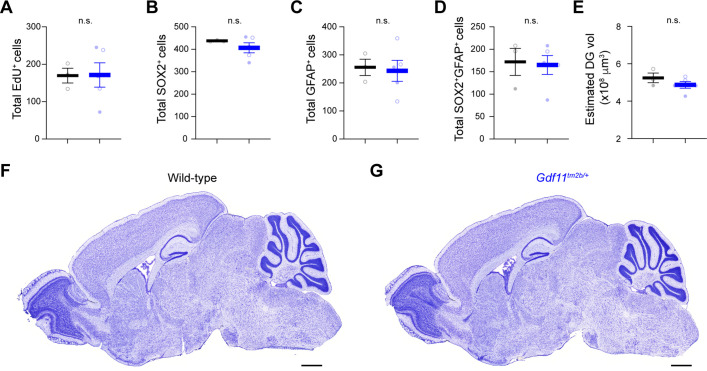 Figure 4—figure supplement 1.