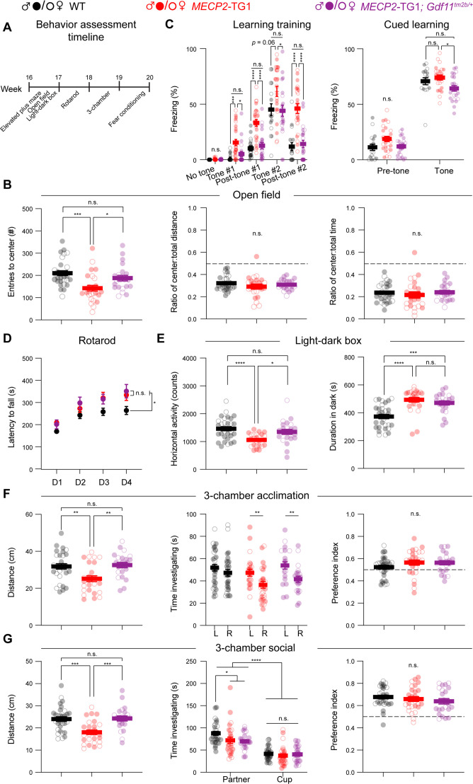 Figure 2—figure supplement 1.