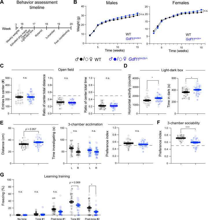 Figure 3—figure supplement 2.