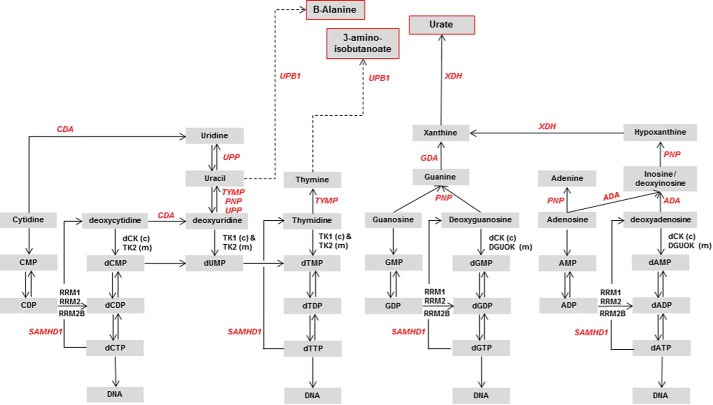 FIGURE 6.