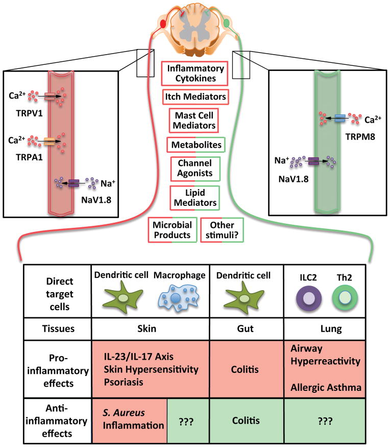 Figure 3(Key Figure)