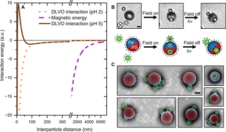 Fig. 6