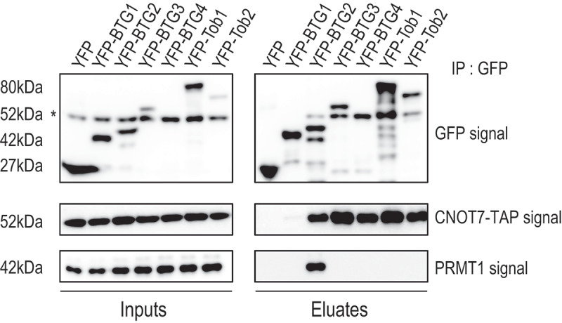 Figure 7.