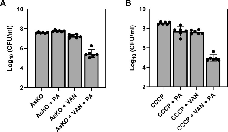 Figure 1—figure supplement 3.