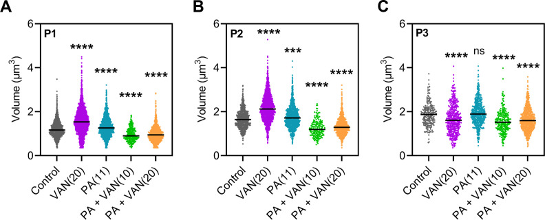 Figure 4—figure supplement 4.