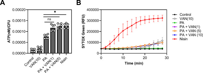 Figure 5.