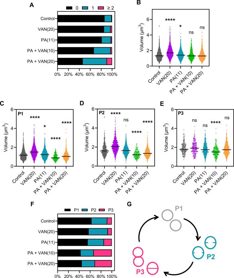 Figure 4—figure supplement 3.