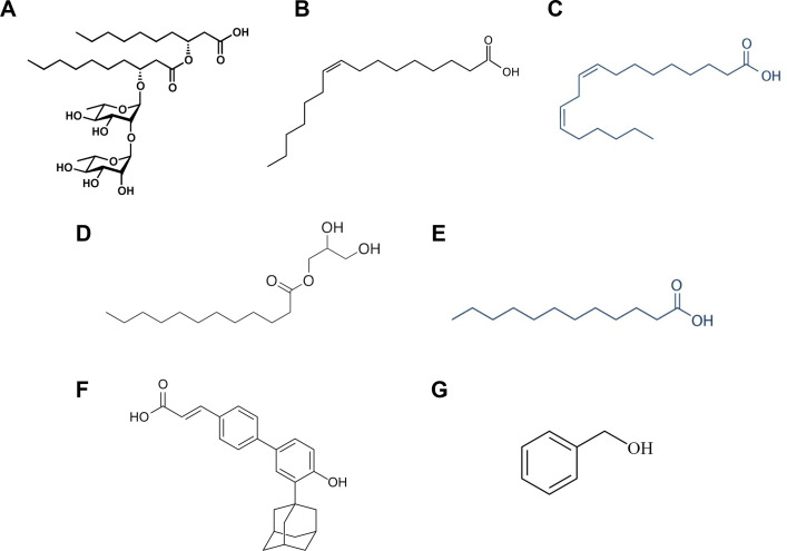 Figure 1—figure supplement 1.