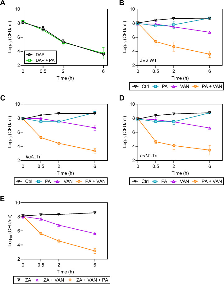 Figure 4—figure supplement 5.