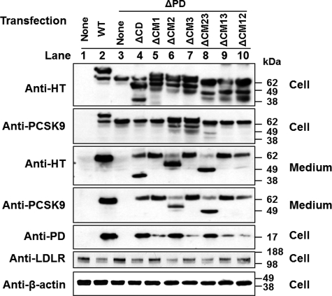 FIGURE 5.