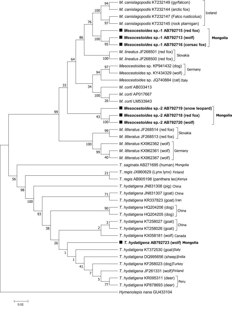 Fig. 2