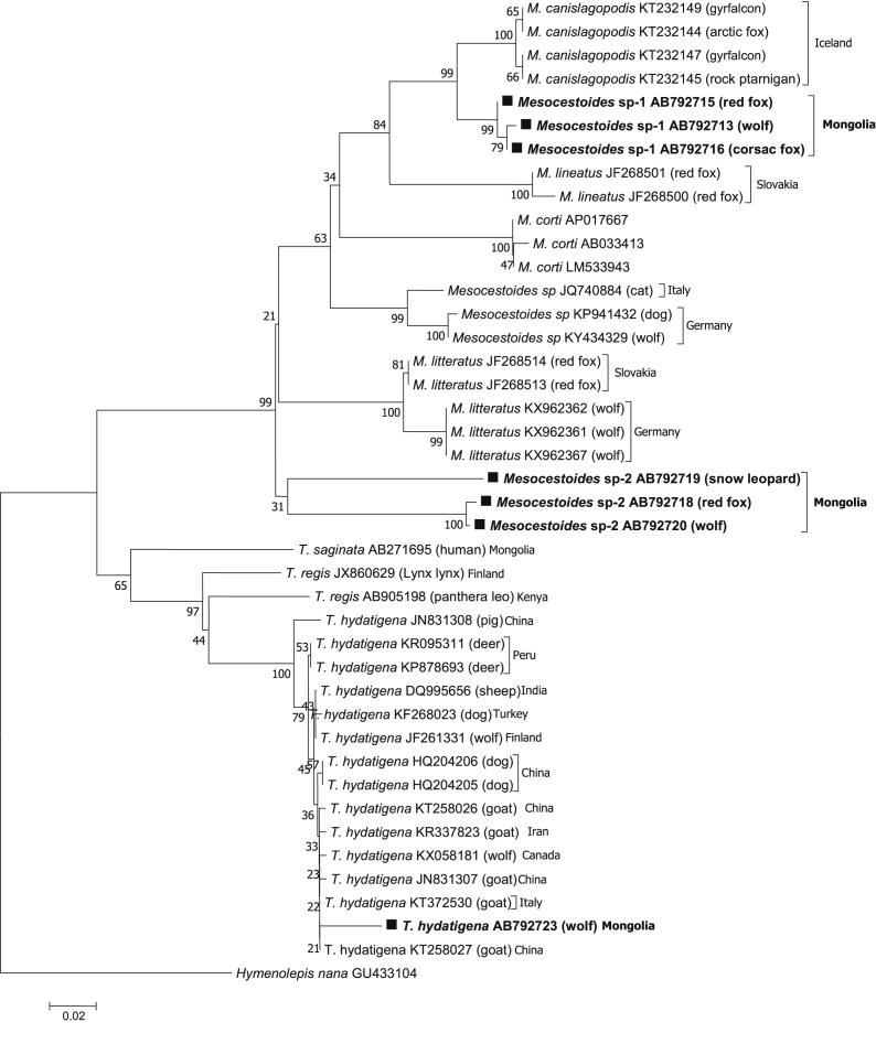 Fig. 2