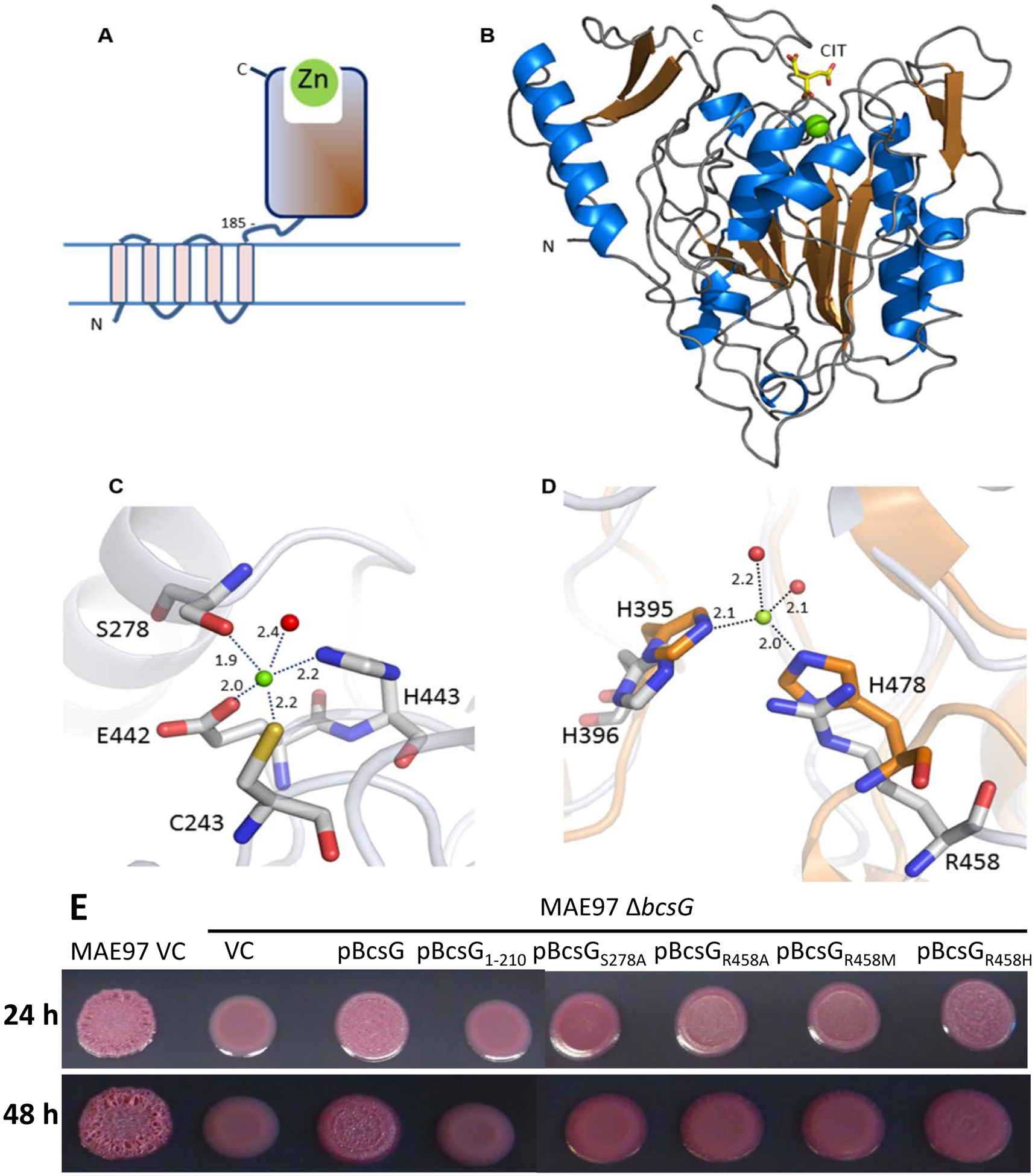 Fig. 4.