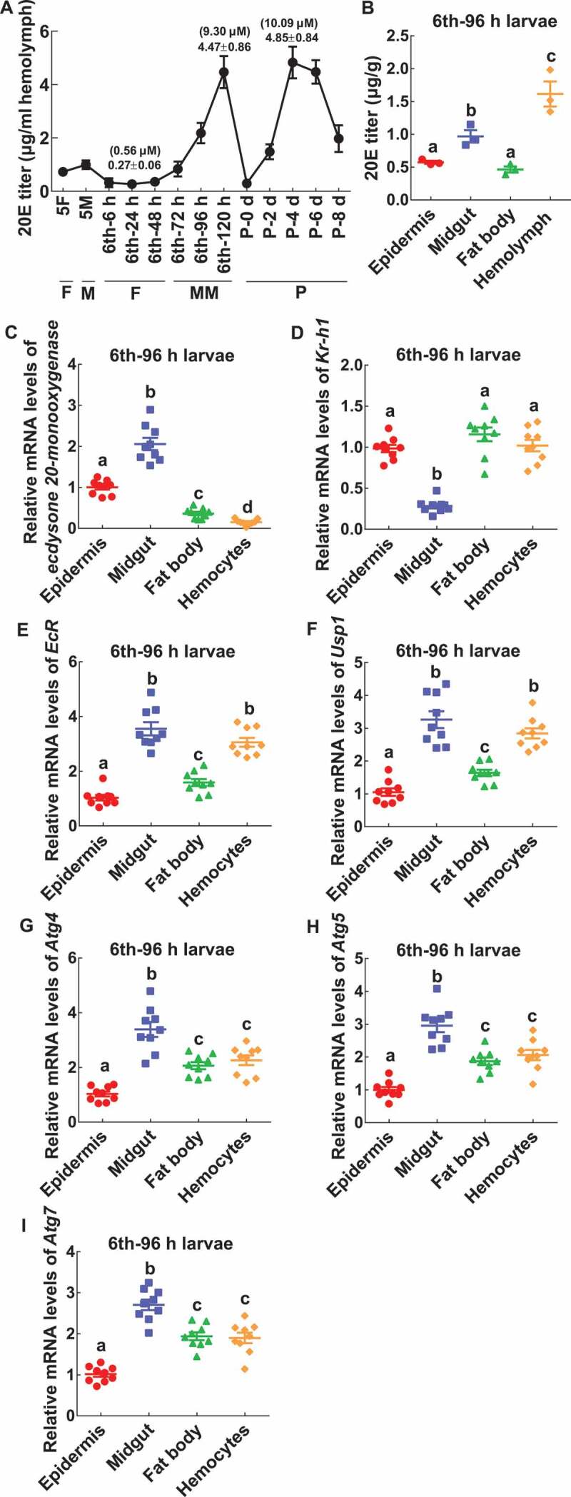 Figure 11.