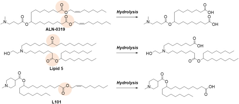 Fig. 4