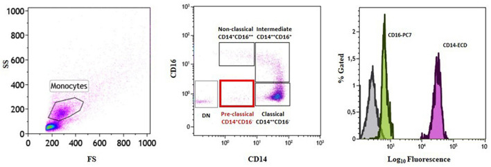 FIGURE 2