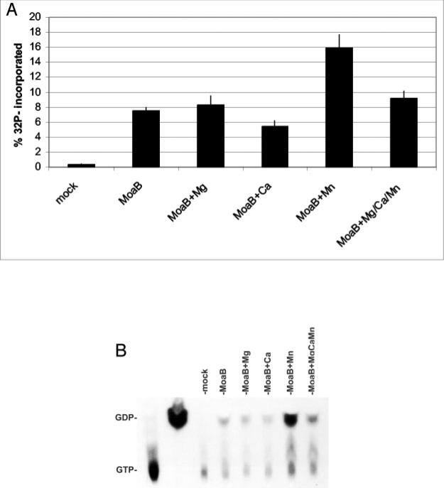 Fig. 8