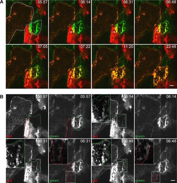 FIGURE 4: