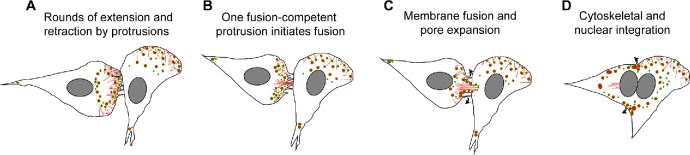 FIGURE 10: