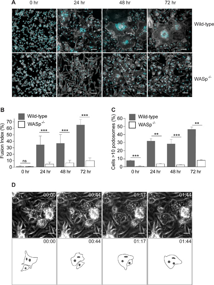 FIGURE 6: