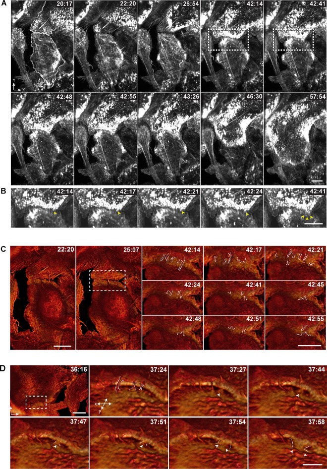 FIGURE 3: