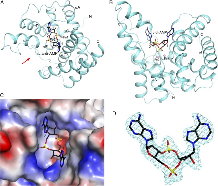 Fig. 4.