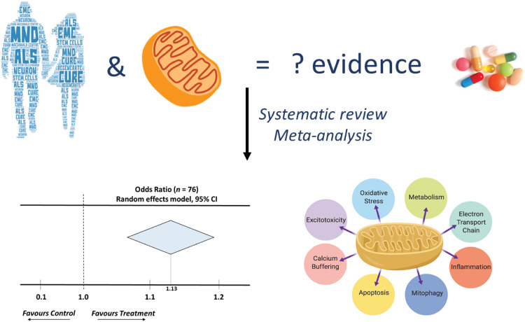 Graphical Abstract