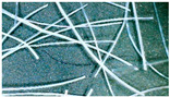 graphic file with name polymers-15-04573-i002.jpg