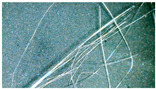graphic file with name polymers-15-04573-i001.jpg