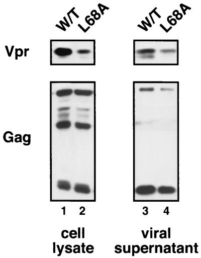 FIG. 5