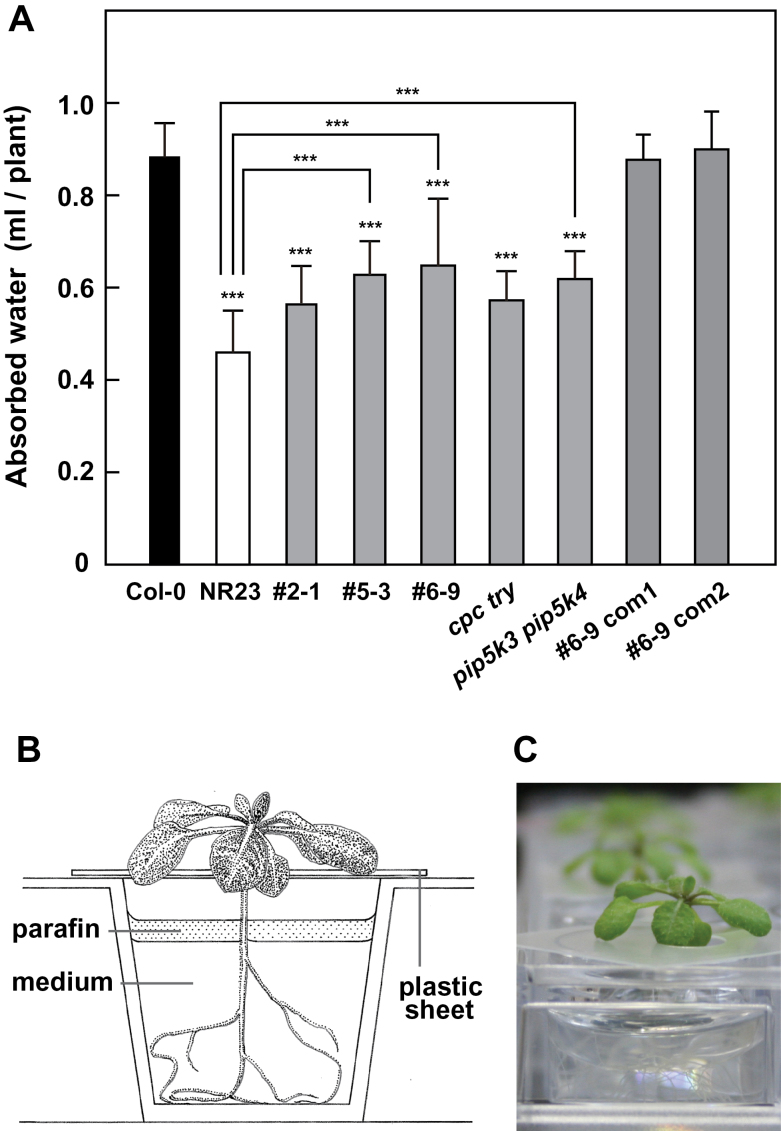 Fig. 5.