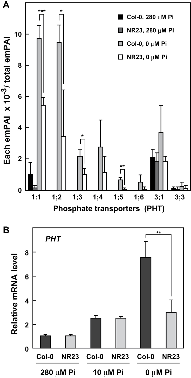 Fig. 9.